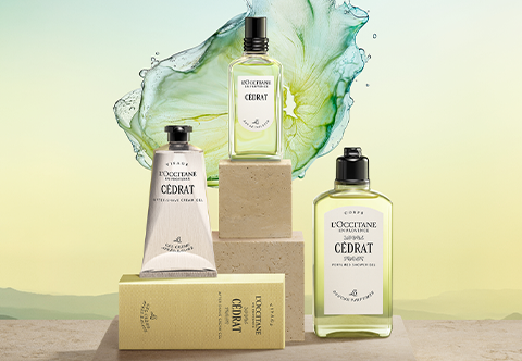 カクタス　コンプリート　L'OCCITANE Energizing Cedrat Collection For Men | L'Occitane | L'Occitane en